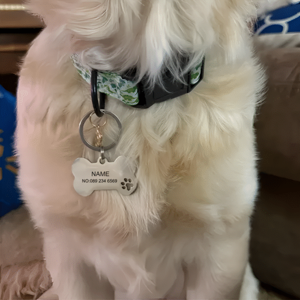 personalized dog keychain